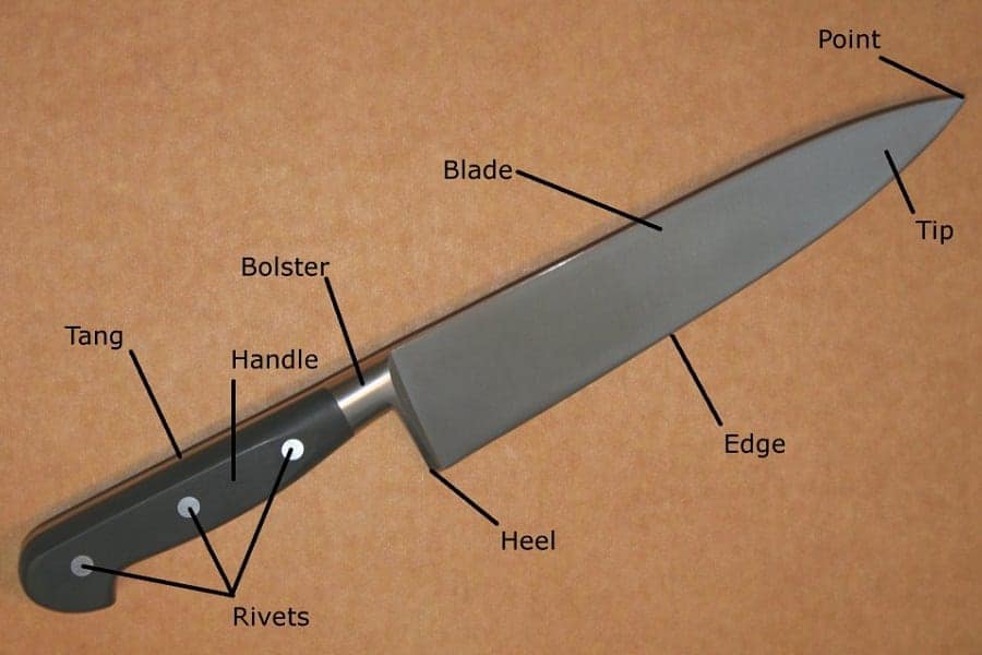 Anatomy Of The Different Types Of Knives
