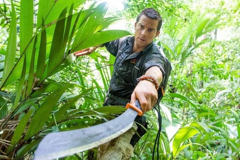 Best Machete For The Dense Forest