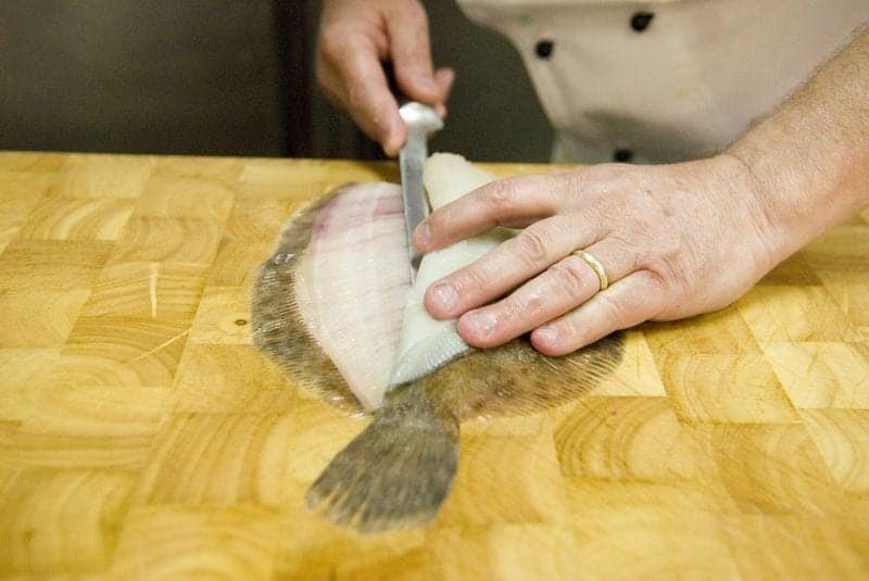 Fillet Knife Features